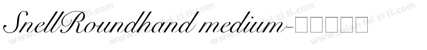 SnellRoundhand medium字体转换